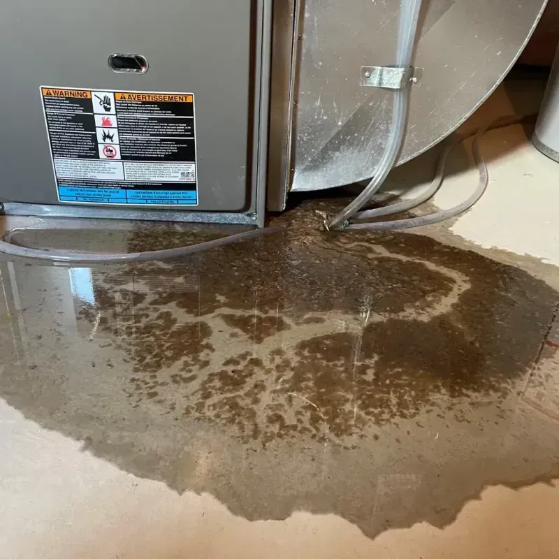 Appliance Leak Cleanup in Ho-Ho-Kus, NJ